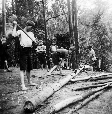 Wood Chopping. Image: J.X. Coutts