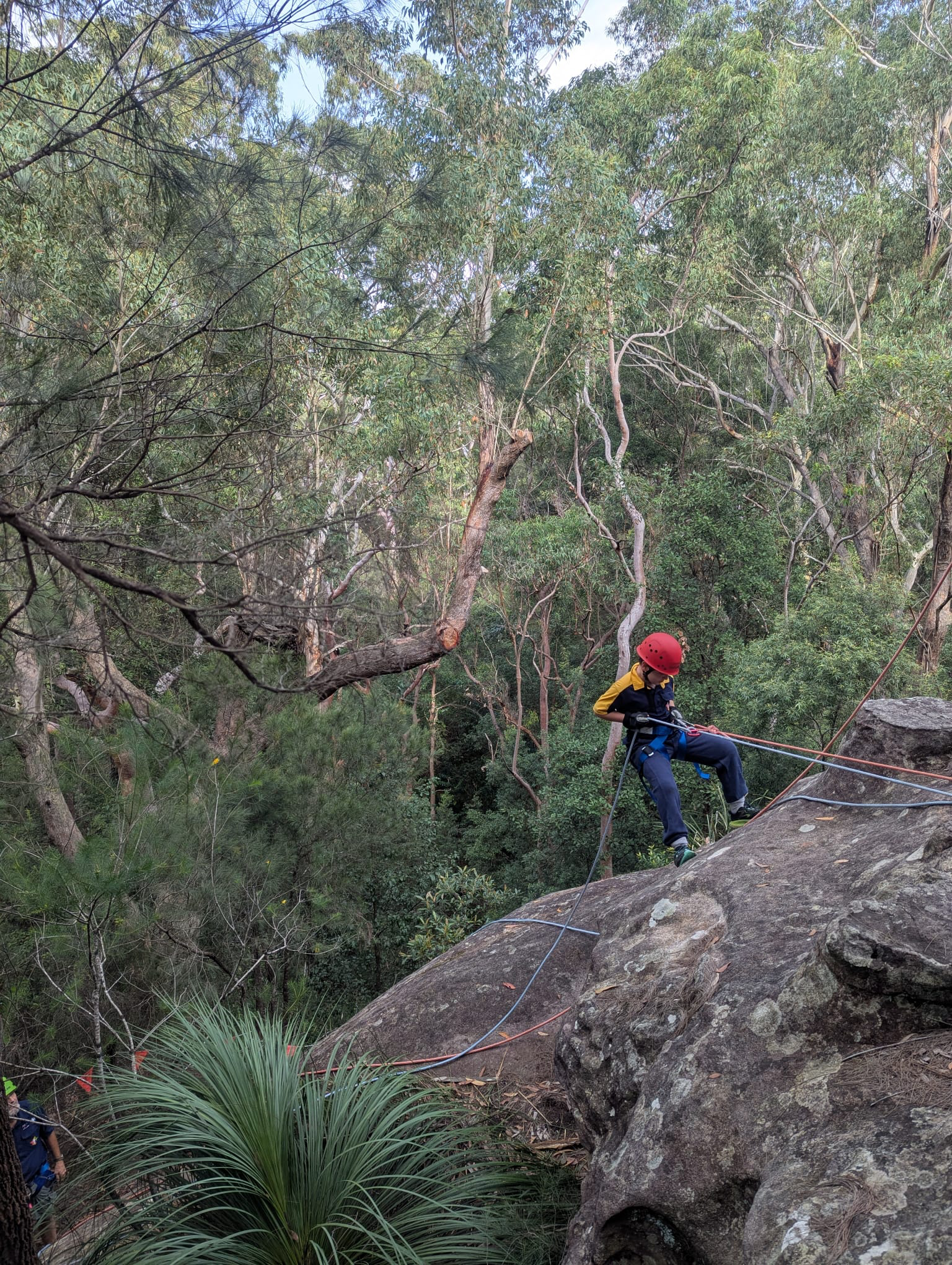 1st Leichhardt Scout abseiling
